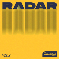 RADAR VOL. 6