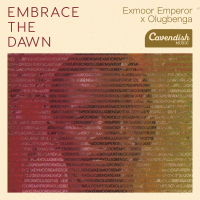 EMBRACE THE DAWN