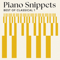 PIANO SNIPPETS – BEST OF CLASSICAL 1